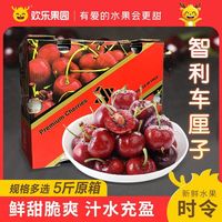 百亿补贴：欢乐果园 Joy Tree 智利进口车厘子新鲜水果 J 2J 3J 4J级5斤大樱桃包邮