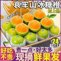 粤迎 云南冰糖橙 5斤优选装净4.5斤