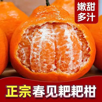 粤迎 四川不知火丑橘果园新鲜现摘 甜丑八怪水果丑橘 9斤精选果净8.5斤