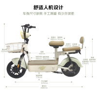 移动端、京东百亿补贴：五星钻豹 电动自行车 新新国标适用2026年电动自行车A36家用通勤电动车绅士灰