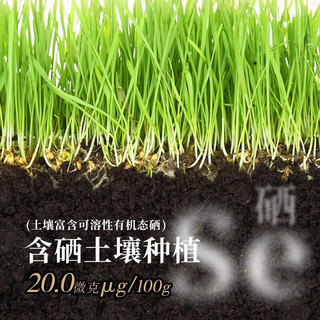 京和100富硒米5kg湖北京山南方大米长粒软香南方农家大米10斤