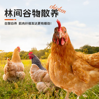  DOYOO/大用 农家散养 老母鸡  【滋补佳品】老母鸡2.7斤 1.35kg 袋装