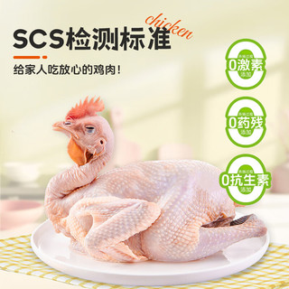  DOYOO/大用 农家散养 老母鸡  【滋补佳品】老母鸡2.7斤 1.35kg 袋装