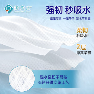 俏东方医用擦手纸2层200抽*10提悬挂式抽纸巾无抑菌OK镜干手纸厨房家用