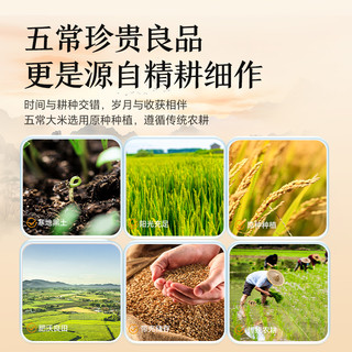  GUMIJI/谷米集 软糯 五常大米