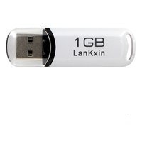 LanKxin/兰科芯 可个性LOGO U盘  白色 1GB