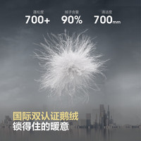 波司登（BOSIDENG）25新款90鹅绒轻薄羽绒服女中长款可拆卸领商务保暖外套B250134162 黑色|8056 M 165/88A 体重约125-140斤