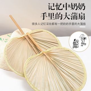 Jidaocook扇子大蒲扇济公扇老式中国风古典家用扇便携葵扇婴儿夏天芭蕉扇子 大号-1把【手工织 童年味道】