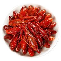 优牧冠 麻辣小龙虾5.4斤 整只整虾加热即食湖北冷冻生鲜水产小号3-5钱可剥虾尾 辣味(17-33只)900g*3盒