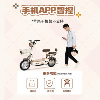 五星钻豹 电动车48V20AH新新国标电动自行车2026年国标智能