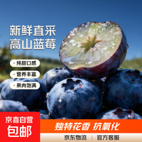 云南本草 云南国产蓝莓高山蓝莓 孕妇新鲜水果精选 4盒装  特大果