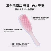 TANGLE TEEZER TangleTeezer英国王妃tt灵巧按摩美顺发长柄梳子女士