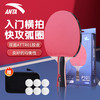 ANTA安踏乒乓球拍儿童小学生新手一星二星三星横拍直拍训练娱乐单拍 2星 直拍 送6只训练乒乓球