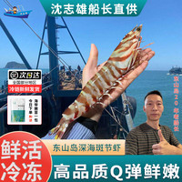 沈志雄 深海大虾斑节 4-6条/盒/共2盒大个头共800克