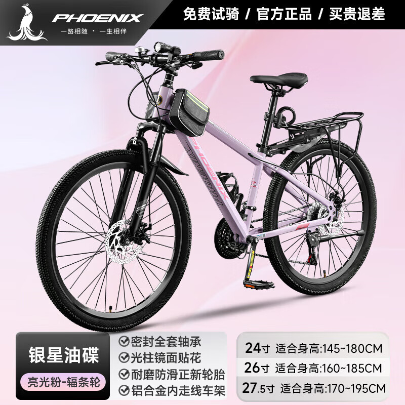 油碟辐条丨亮光粉