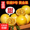京喜 钦密9号黄金百香果新鲜 10粒装 小果 单果重30-45g