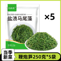 鞭炮笋海笋长寿菜凉拌菜海草藻菜火锅食材鞭泡笋盐渍马尾藻羊栖菜 250g