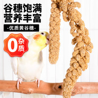捕渔达人 鹦鹉零食棒谷穗麦穗谷子鸟粮饲料训练奖励小零食虎皮玄凤牡丹专用