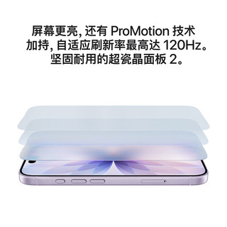Apple iPhone 17 5G双卡双待 黑色 256GB 手机