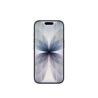 Apple iPhone 17 5G双卡双待 黑色 256GB 手机