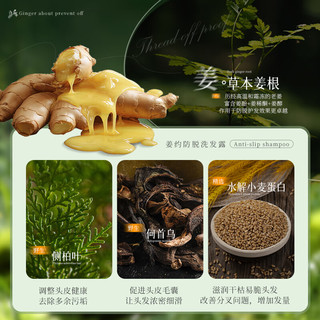  JIANGYUE/姜约 育发固发 防脱发洗发水  20ml*10