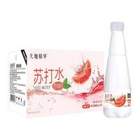 天地精华 苏打水 西柚味 410ml*15瓶