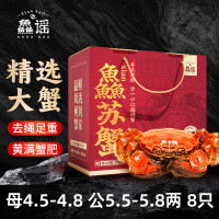 鱻谣 XIAN YAO 大闸蟹鲜活螃蟹 公蟹5.5两 母蟹4.5两 8只装 去绳足重 死蟹包赔