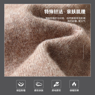 SHANSHAN杉杉【100%羊毛】羊毛衫套头提花保暖厚内搭男士商务休闲冬厚上衣 红色 S /165