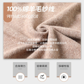 SHANSHAN杉杉【100%羊毛】羊毛衫套头提花保暖厚内搭男士商务休闲冬厚上衣 红色 S /165