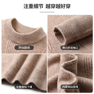 SHANSHAN杉杉【100%羊毛】羊毛衫套头提花保暖厚内搭男士商务休闲冬厚上衣 红色 S /165