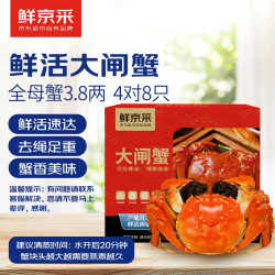 鲜京采 鲜活大闸蟹 全母蟹3.8两 4对8只 去绳足重 蟹类螃蟹河蟹生鲜礼盒