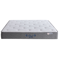 邓禄普（Dunlopillo）乳胶连锁双人弹簧床垫软硬适中五重抗菌防螨润黛C3 150*200*23cm