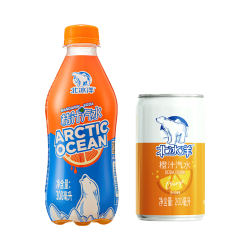 北冰洋 PET桔汁汽水300ml含果汁碳酸饮料 老北京汽水 便携款 12瓶