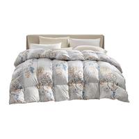 富安娜 FUANNA 羽绒被芯95灰鹅绒被子冬天保暖加厚冬被二合一被 【灰鹅绒冬厚被】晓露(2.0款) 152*210cm