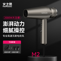 火之凤 M2高速吹风机理发店家电专用电吹风筒负离子不伤发家用发廊专用 M2钛金灰 2000W