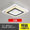 合亮 过道灯走廊玄关门厅灯现代简约led筒灯入户阳台灯创意天花走廊灯 明装-方形24cm：海豚