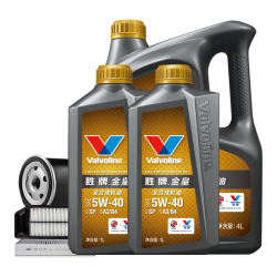 胜牌 单次大保养卡 金皇5W-40 6L+机滤+空调滤+空气滤+工时 12个月有效