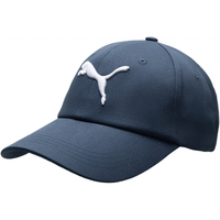 PUMA 彪马 男帽女帽户外运动休闲帽情侣鸭舌帽棒球帽高尔夫球帽遮阳帽子 024357-02/卡其色/帽围约57CM ADULT