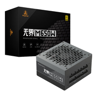 鑫谷(segotep)无界M650W金牌全模组电源(80plus金牌/压纹模组线/1V1显卡供电接口/台式电脑主机箱电源)
