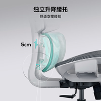 HBADA/黑白调 罗永浩 人体工学椅 E2air青春版霜白