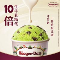 哈根达斯 冬季雪糕冰淇淋 抹茶曲奇味 100ml/盒