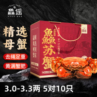 鱻谣 XIAN YAO 大闸蟹全母3.0-3.3两5对10只去绳足重鲜活螃蟹现货生鲜蟹礼盒江苏泰州兴化