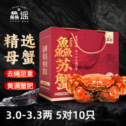 鱻谣 XIAN YAO 大闸蟹全母3.0-3.3两5对10只去绳足重鲜活螃蟹现货生鲜蟹礼盒江苏泰州兴化