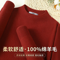 雪中飞(SNOWFLYING)100%绵羊女式羊毛衫秋冬柔软舒适半高领纯色百搭基础款女式针织衫