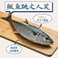 船歌鱼水饺 鲅鱼蛤蜊黄花鱼虾仁薄皮馄饨