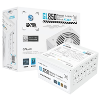 GALAX/影驰 金牌全模组 电脑电源