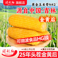 得利斯 东北黄糯玉米 220g*8