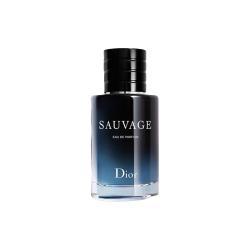 Dior 旷野男士浓香水 EDP