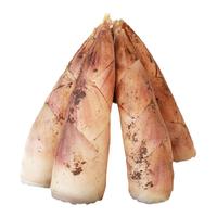 春笋新鲜现挖嫩芽笋冬笋油焖笋鲜笋浙江腌笃鲜临安笋天目雷笋竹笋