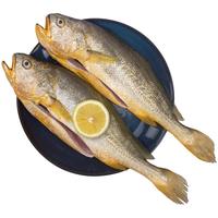 One's Member 冷冻宁德三去大黄鱼黄花鱼深海鱼海鲜水产700g/2条装